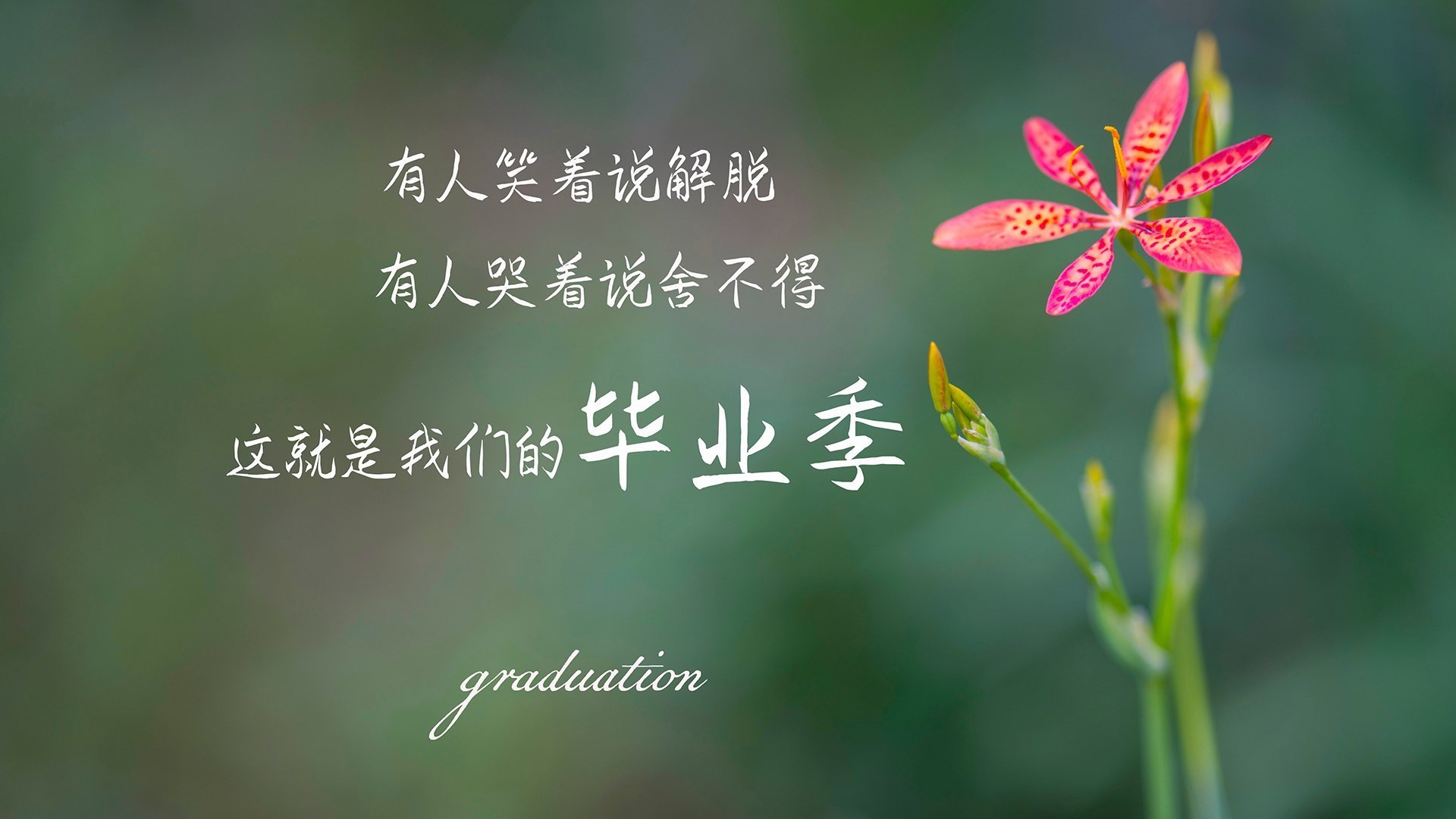 世界摩托艇锦标赛大连站吸引众多关注，2021年摩托艇大赛