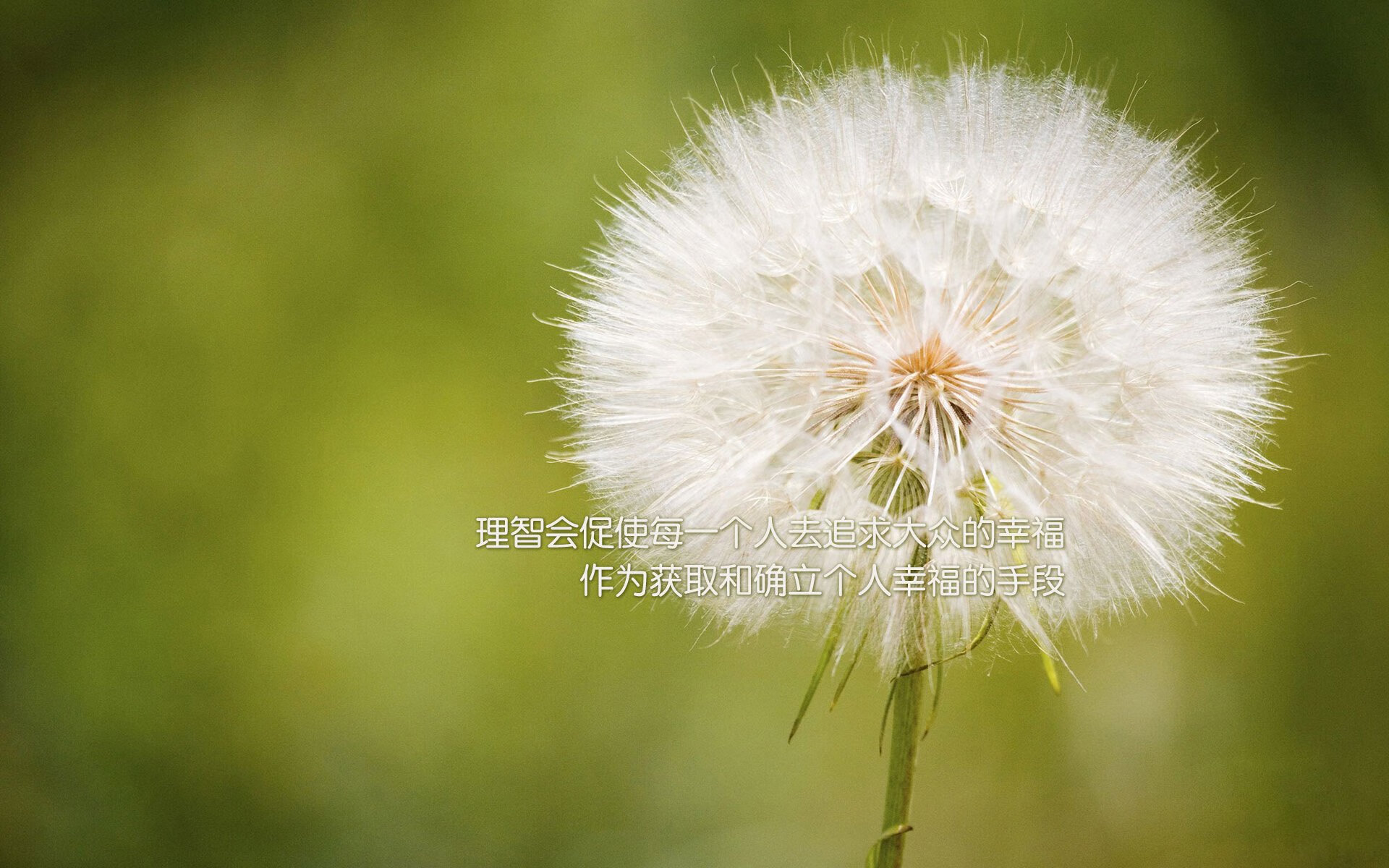 九游登录中心-“2025世界游泳锦标赛：哪些项目值得一看？”