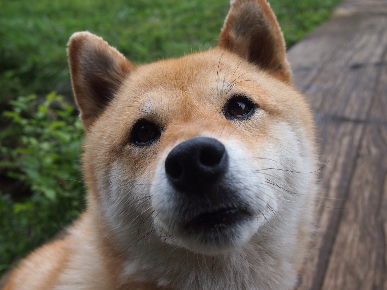九游用户空间-“新加坡泳池热战！游泳与水上芭蕾让观众大呼过瘾”