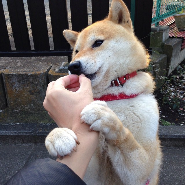 比赛现场观众热力图系统上线测试