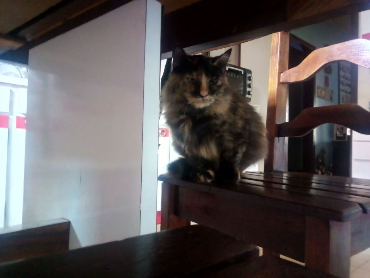 里昂阵容厚度提升保障多线作战,里昂最强阵容