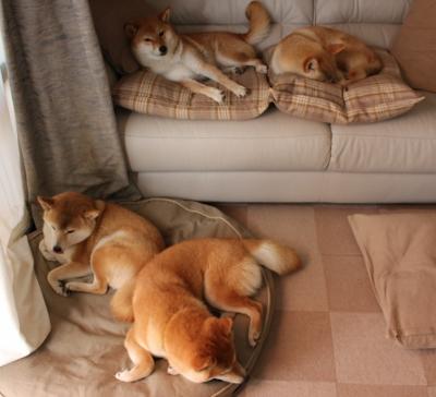 马竞稳固站位抵挡连续反扑攻势,马竞防守集锦