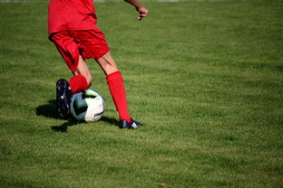 九游(jiuyou)官方网站-CBA球队加强后勤保障体系优化训练和比赛准备，cba后备联赛