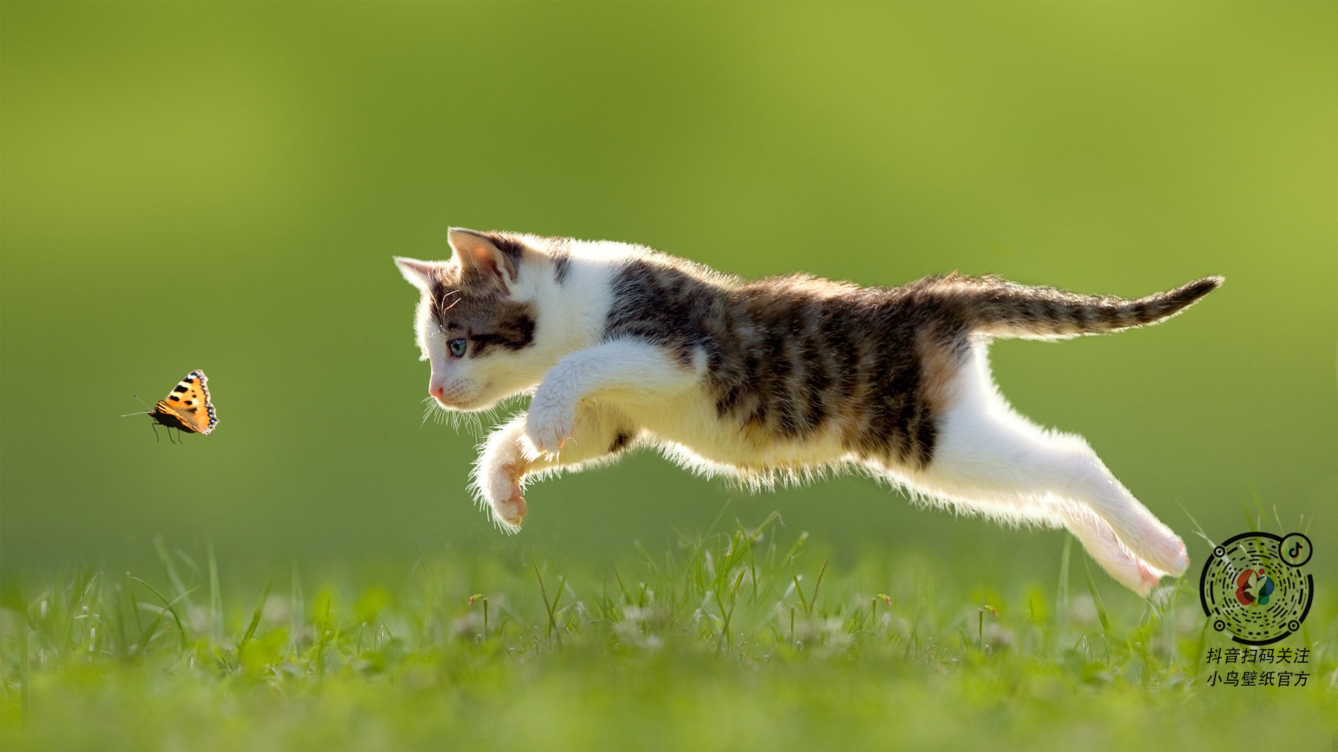 中国篮球加强与国际组织合作拓展发展空间,中国国际篮球队