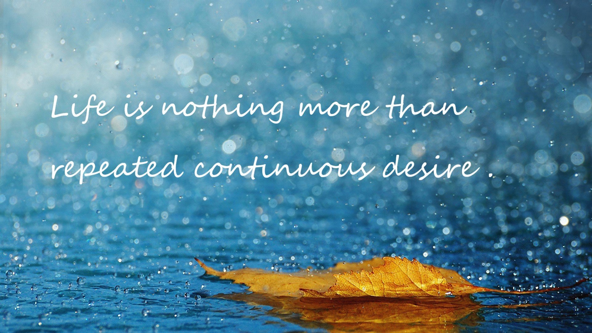 中国足球联赛裁判执法规范化培训持续推进,中国足协裁判培训