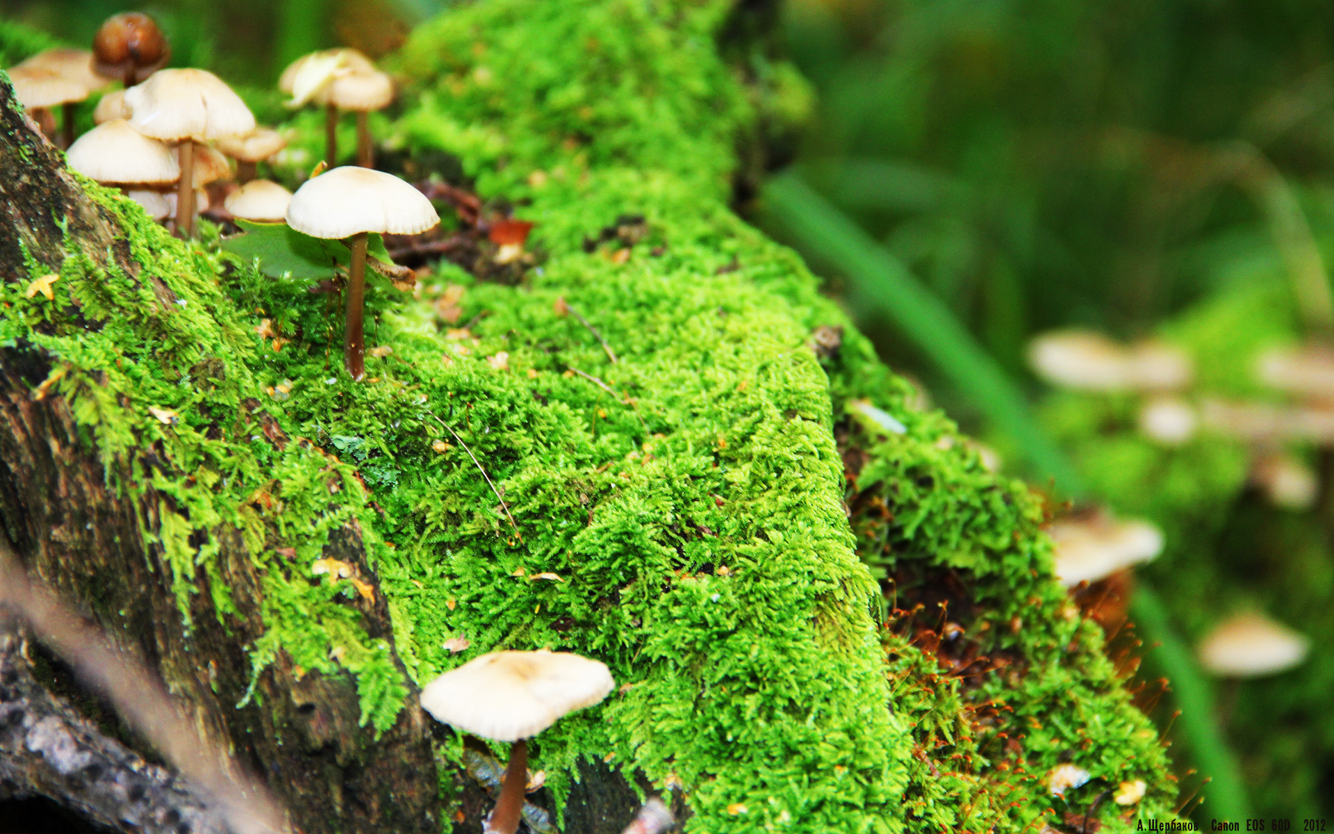 九游sports-中国足球青训课程将视频反馈作为日常训练环节，中国足球青训补偿及培训费