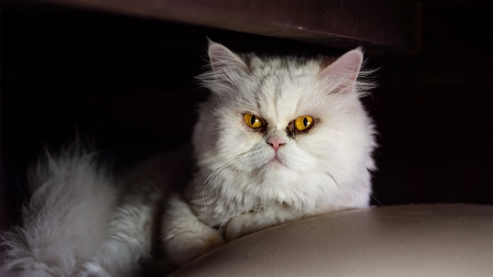 乌拉圭男篮在国际比赛中持续奋战,迈向更高世界舞台