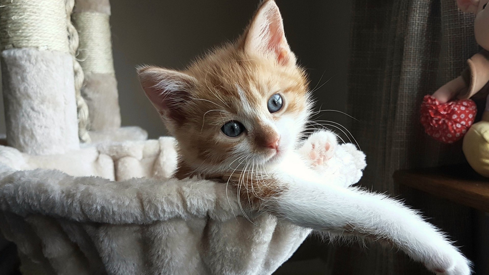 体育新闻中心赛事速递,体育新闻实时