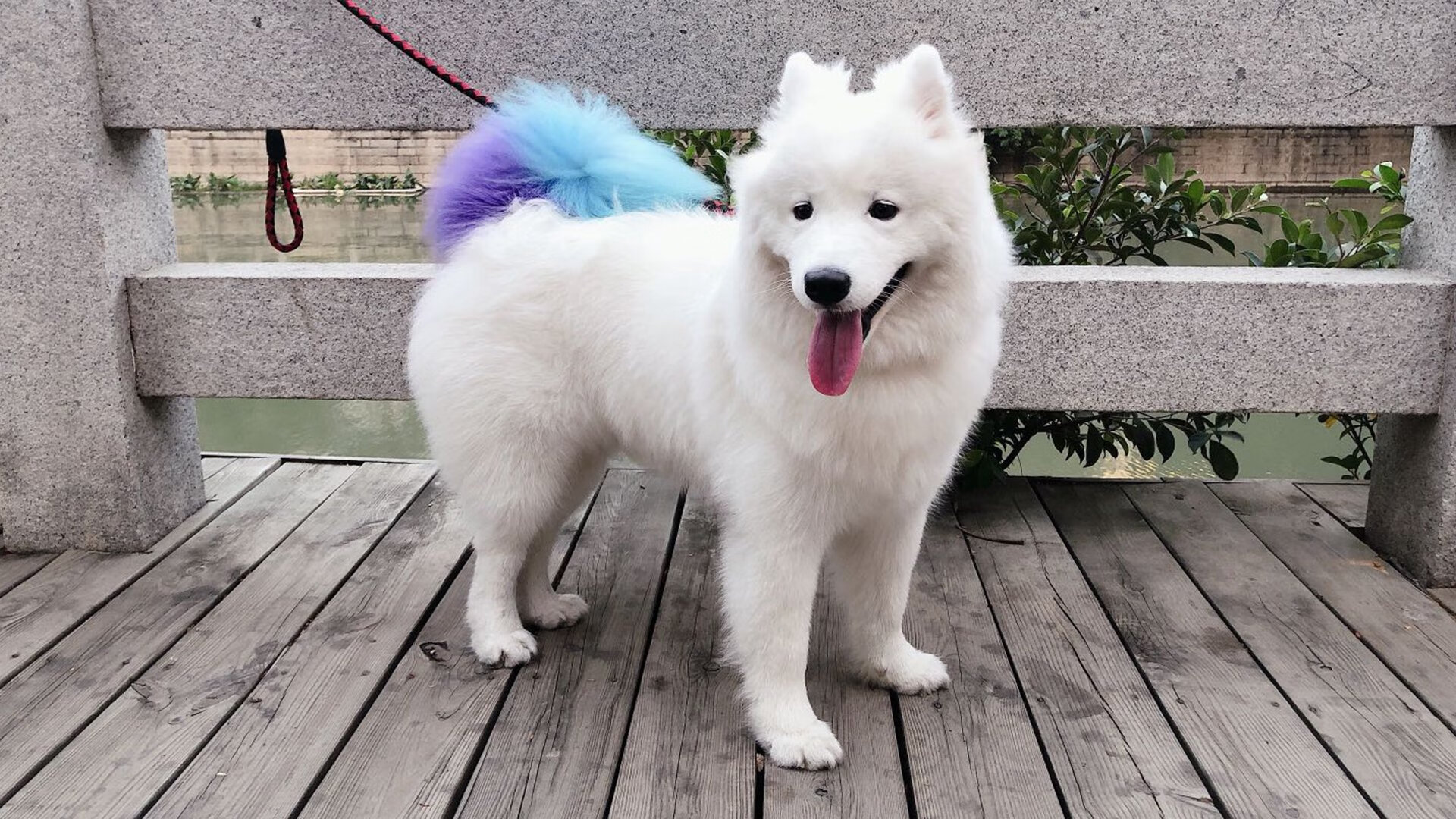 历史性胜利引发全网热议,历史性胜利引发全网热议的事件