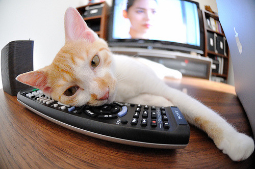 九游官网下载电脑版-哥伦比亚女篮在美洲锦标赛中获得佳绩，攀上新高峰