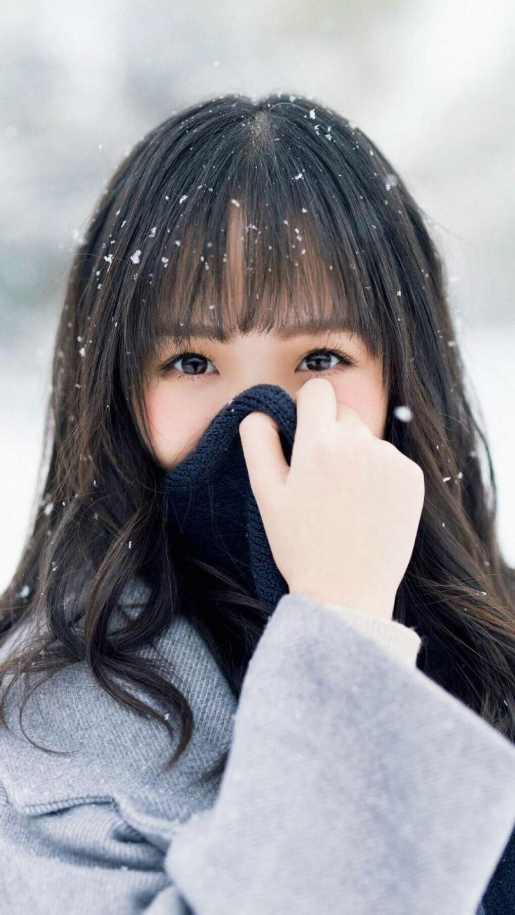 法甲闪耀瞬间:冠军级的战术解读,法甲冠军怎么算